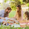 Picknickkorb aus Weide im Landhausstil, Campingkorb mit Produktbild-Vorschau 6