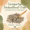 Dattelzweig mit Früchten ca. 30cm – echter getrockneter Produktbild-Vorschau 2