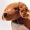 Steiff Dackel Waldi 30 cm stehend braun 078392 Produktbild-Vorschau 4