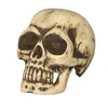 Skelet schedel, decoratie voor Halloween, griezelig Productafbeelding-voorbeeld 2