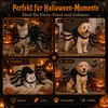 Spinnenkostüm Hund, Halloween Hundekostüm mit 8 Produktbild-Vorschau 7