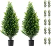 SucceBuy 91,4 cm sztuczne drzewo cedrowe Topiary 2 sztuki Podgląd zdjęcia produktu 1