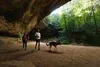 Ruffwear Front Range™ Hundegeschirr Produktbild-Vorschau 7