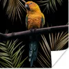 MuchoWow® Poster Vogel - Papagei - Zweig - Blätter 30x30 cm Produktbild-Vorschau 1