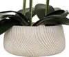 Orchidée artificielle en pot « Sanae » - Pot en ciment Voir les images du produit 4