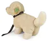 Peluche Golden Retriever Con Guinzaglio 25 Cm Eco-f. Anteprima dell’immagine prodotto 10