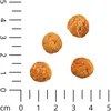 5x100g - Insecta Nibbles Silkworm (Seidenraupe & Karotte) Produktbild-Vorschau 4
