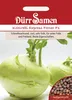 Kohlrabi Express Forcer F1 | Kohlrabisamen von Dürr Samen Produktbild-Vorschau 3