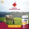 Vitar Veterinae ArtiVit Pegas Forte 7 - Bardzo silna Podgląd zdjęcia produktu 5