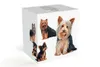 PETS Becher Yorkshire Terrier Hund, Bone China Porzellan, Produktbild-Vorschau 5