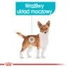 Royal Canin CCN Urinary Care 24x85g Nassfutter Pastete für Produktbild-Vorschau 3