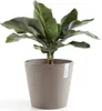Ecopots Amsterdam 30 Blumentopf - L 30 cm x H 25,4 cm - Produktbild-Vorschau 2