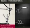 Paulmann Lampada da tavolo a LED Numis QI Anteprima dell’immagine prodotto 6