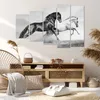 Bild auf Leinwand - Leinwandbild - Pferde Tiere Galopp Produktbild-Vorschau 7