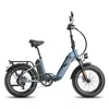 Fafrees FF20 Polar E-Bike Elektrofahrrad Doppelbatterie 20 Produktbild-Vorschau 5