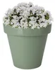 Pro Garden Blumentopf - grun - rund - D30 cm - Kunststoff - Produktbild-Vorschau 2