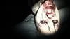 Resident Evil 7 PS Hits PS4-Spiel Produktbild-Vorschau 4