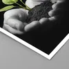 Poster - Poster ohne Rahmen - Natur Pflanze Wissenschaft Produktbild-Vorschau 2