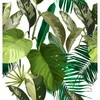 Coloray Fototapete 416x254 cm Vlies-Fototapete - Produktbild-Vorschau 2