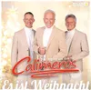 Calimeros: Es ist Weihnacht Náhľad obrázku produktu 1