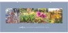LandLust Panorama: Garten-Kontraste 2027 Produktbild-Vorschau 1