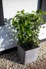 A square planter with a ribbed texture, containing a green ivy plant, is placed on a gravel and brick surface next to a white brick wall. Produktbild-Vorschau