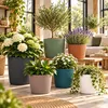 Prosperplast plantenpot Buckingham - dennenbruin - diameter Productafbeelding-voorbeeld 6