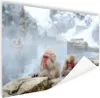 MuchoWow® Poster Affen - Tiere - Wasser - Natur 120x80 cm - Produktbild-Vorschau 1