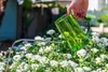 Gießkanne mit langem Ausguss – transparenter Kunststoff mit Produktbild-Vorschau 2