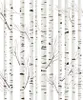 Coloray Fototapete 312x219 cm An Einer Wand Latex Produktbild-Vorschau 2