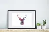 MuchoWow® MuchoWow® Gerahmtes Poster Rotwild - Farbe - Produktbild-Vorschau 4