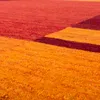 A close-up of a textured rug with a gradient of orange to red colors. Produktbild-Vorschau
