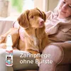 Beaphar Zahnpflege Zerstäuber 150 ml Produktbild-Vorschau 4