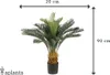 Emerald Künstlicher Japanischer Palmfarn im Topf 80 cm Produktbild-Vorschau 2