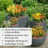 Kokos Mulchchips gepresst 24x500g ca. 168 Liter – Produktbild-Vorschau 6
