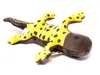 A plush toy salamander lying on its back against a white background. Produktbild-Vorschau