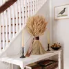 50pcs Trockenblumen Weizen Natürliche Getrocknete Blumen Produktbild-Vorschau 6