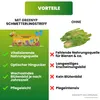 Greenyp Wildblumenmischung I 100g für 100m² I Produktbild-Vorschau 3