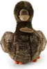 RAPPA Plsch-Ente 23 cm ECO-FRIENDLY Produktbild-Vorschau 2