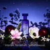 CHRISTINA AGUILERA Moonlight Bloom EDP 30ml Podgląd zdjęcia produktu 6