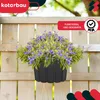 A hanging planter with purple flowers is attached to a wooden fence. Náhľad obrázku produktu