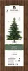 EVERLANDS Weihnachtsbaum Grandis Tanne 681454 Anteprima dell’immagine prodotto 7