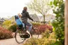 A person is riding a bicycle with a child in a child seat on the back, in a suburban neighborhood with houses and trees. Anteprima dell’immagine prodotto