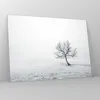 Bilder auf glas - Baum Feld Natur - 70x50cm - Glasbilder - Produktbild-Vorschau 4