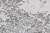 A close-up view of a textured rug with a gray and white abstract pattern. Anteprima dell’immagine prodotto