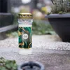 Candele funerarie HOFER con durata di combustione di 7 Anteprima dell’immagine prodotto 6
