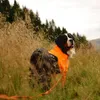 Non-stop dogwear Hundeanzug für Rüden Protector Suit M Produktbild-Vorschau 4