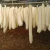 Luffa Schwamm 3Pcs,Natürliche,für Körperpflege Küche Bad Produktbild-Vorschau 6