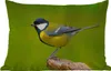 MuchoWow® Outdoor Kissen - Vogel - Kohlmeise - Tiere - Grün Produktbild-Vorschau 1