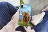 MuchoWow® Handyhülle Schutzhülle Hülle für iPhone XR Produktbild-Vorschau 3